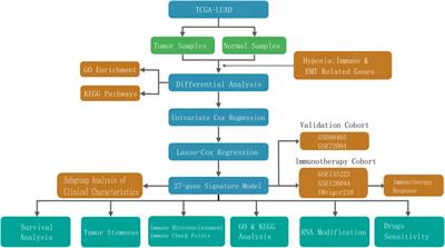 A Prognostic Risk Score Based on Hypoxia-, Immunity-, and Epithelialto-Mesenchymal Transition-Related Genes for the Prognosis and Immunotherapy Response of Lung Adenocarcinoma